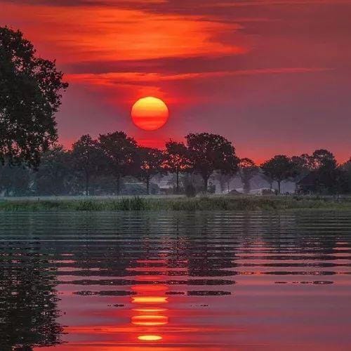 Catriona Gray avatar